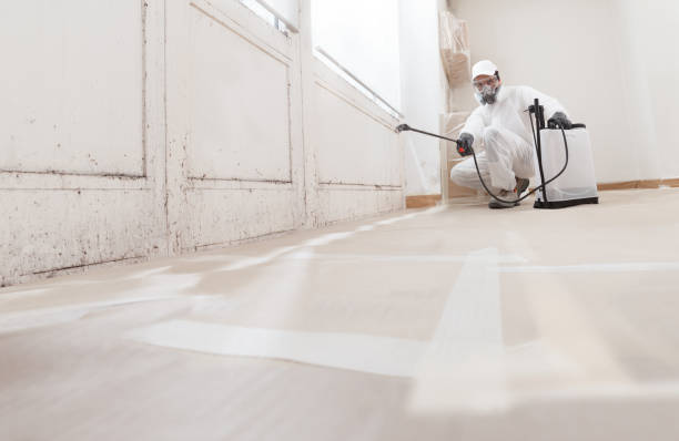 24/7 Emergency Attic Mold Removal experts in Alamance, NC